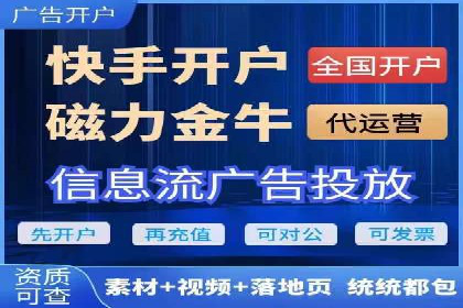 百度竞价赚钱的技巧与成功案例探讨